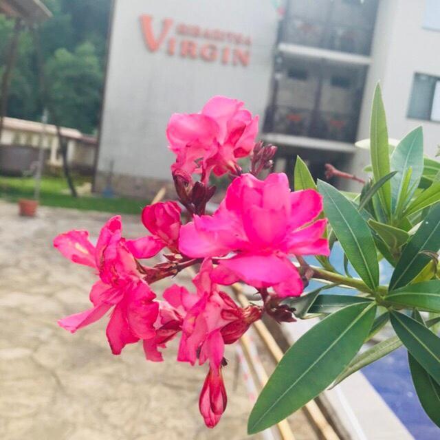 Family Hotel Virgin Ribarica Εξωτερικό φωτογραφία
