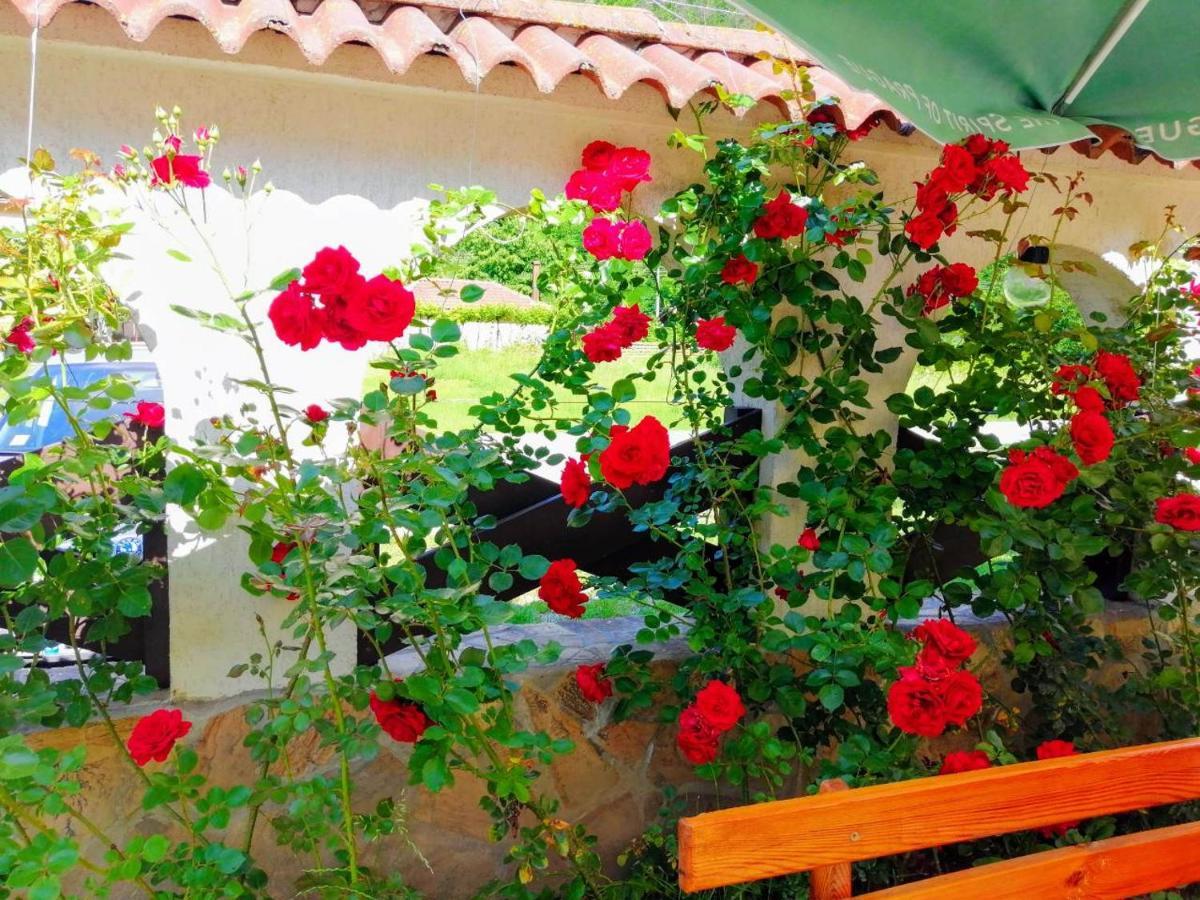 Family Hotel Virgin Ribarica Εξωτερικό φωτογραφία